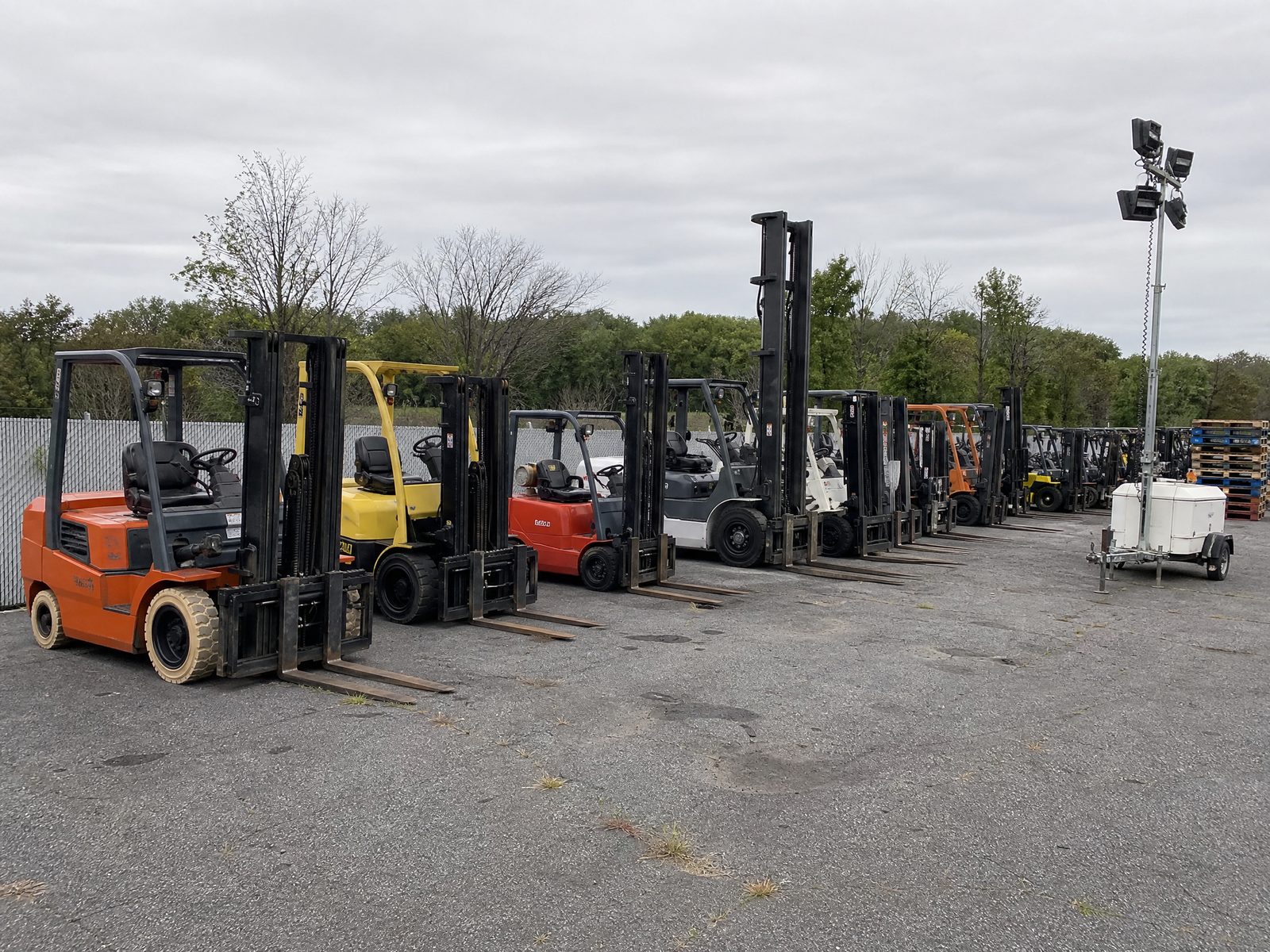 Long row of used forklifts in our yard after multiple fleet buyouts